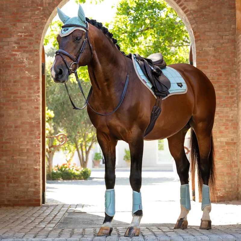 LeMieux Arika Mesh Brushing Boots - Aqua-3