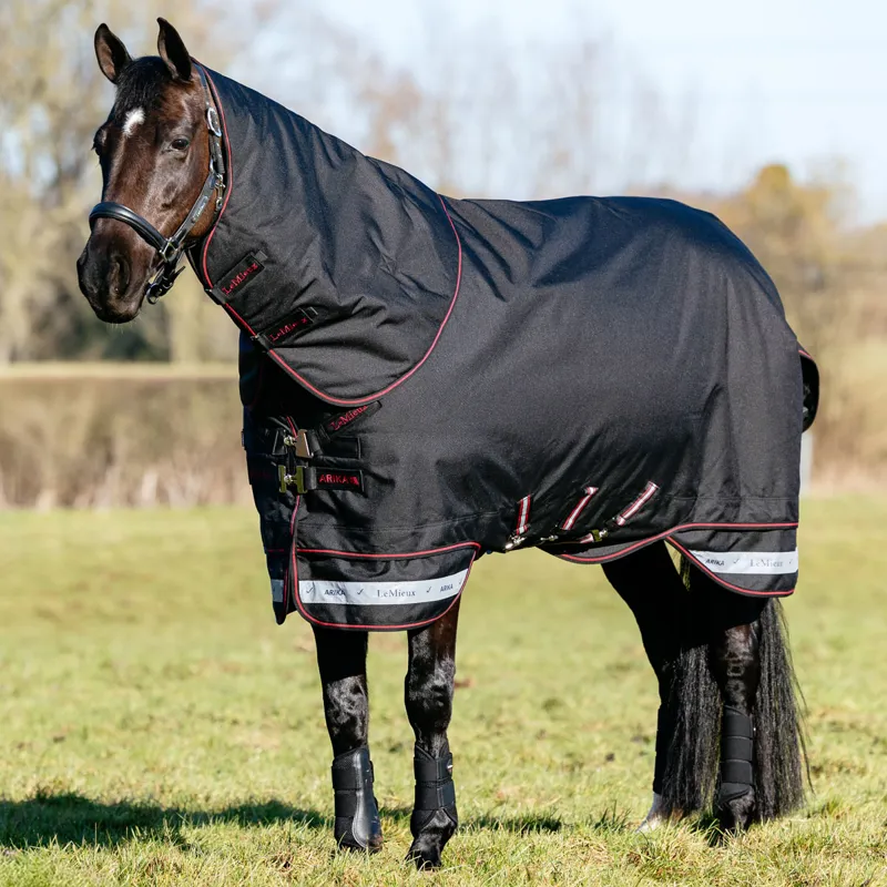 LeMieux Arika Storm-Tek 350g Detachable Neck Turnout Rug - Black-1