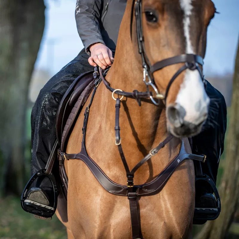 LeMieux DryTex Stormwear Waterproof Chaps - Black-3
