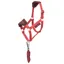 LeMieux Hobby Horse Vogue Headcollar and Leadrope Set - Cranberry