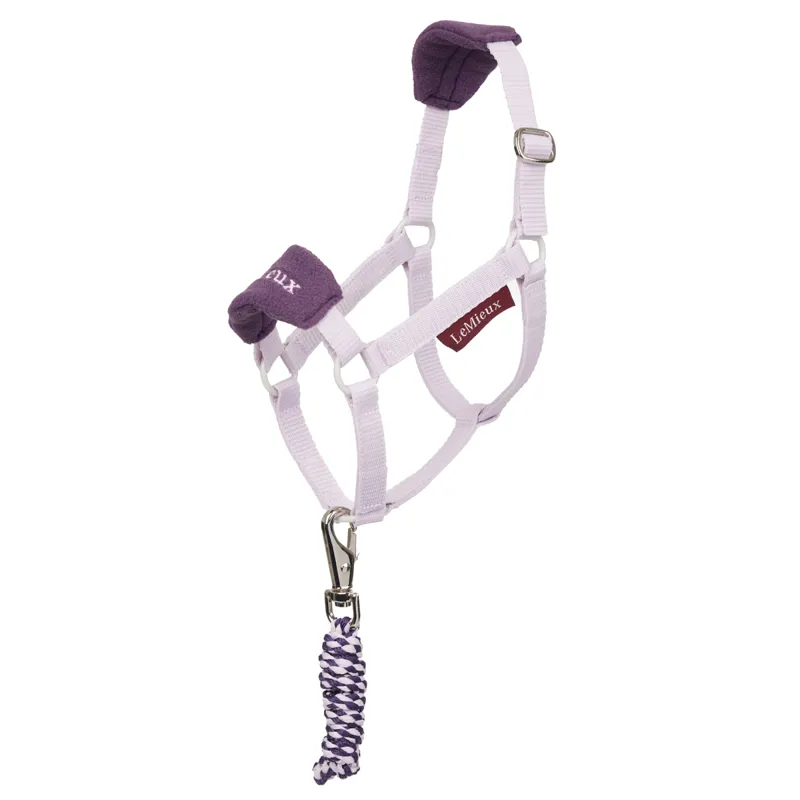 LeMieux Hobby Horse Vogue Headcollar and Leadrope Set - Lilac