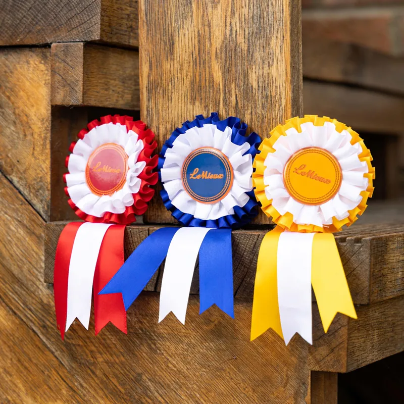 LeMieux Hobby Horse Competition Accessories Bundle-1