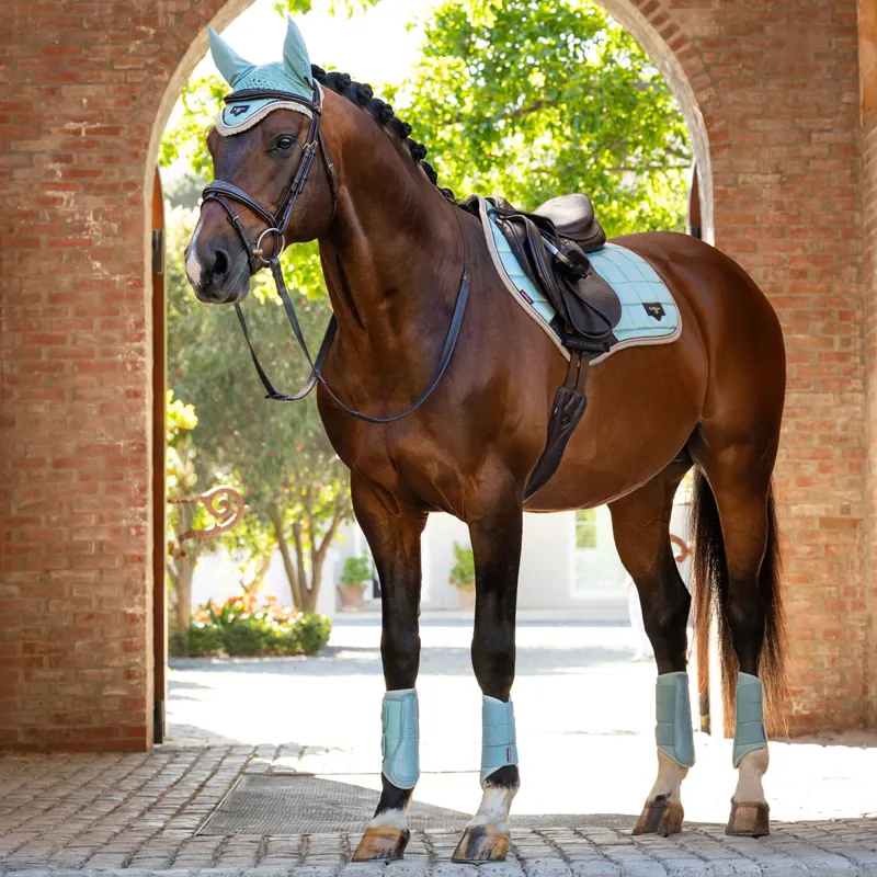 LeMieux Loire Classic Close Contact Square - Aqua-1