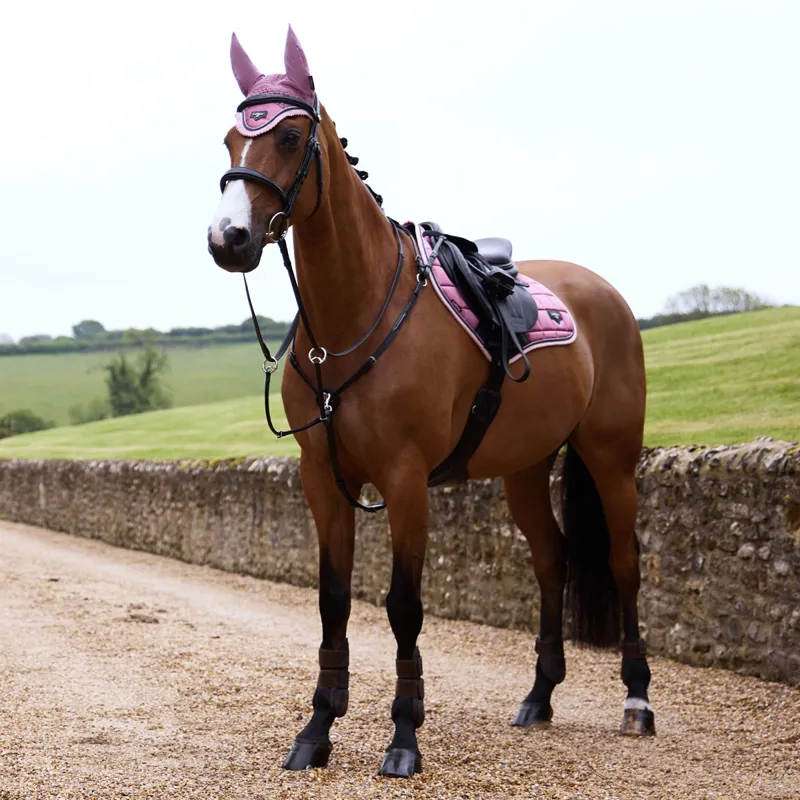 LeMieux Loire Fly Hood - Peony-3