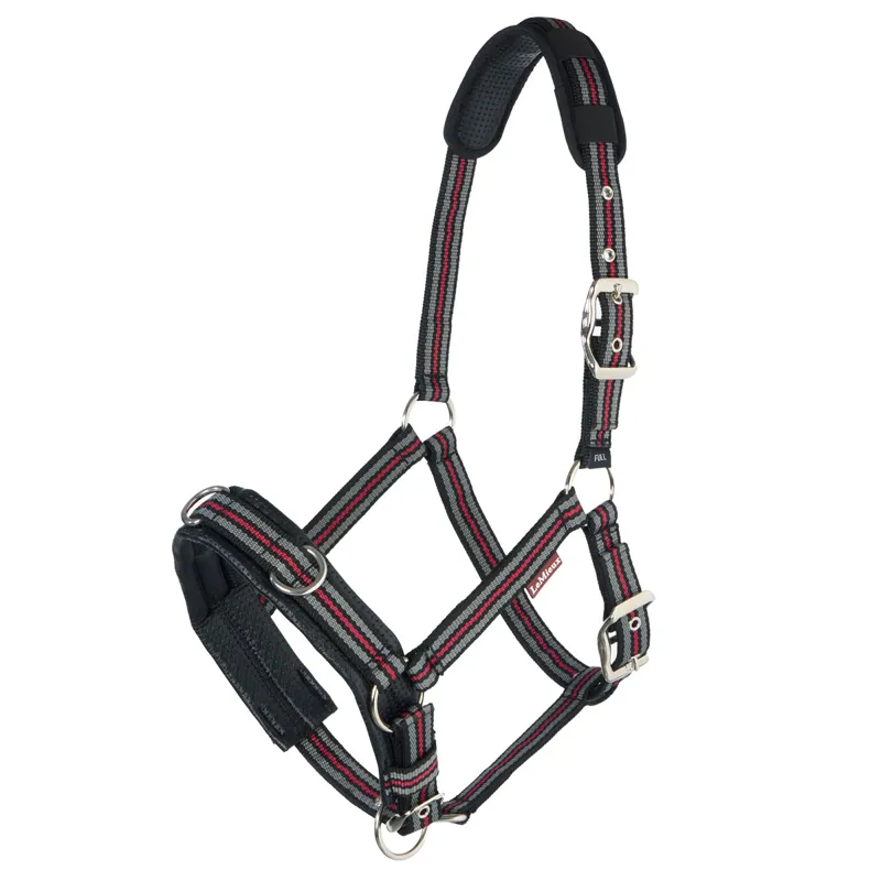 LeMieux Lunge Cavesson Headcollar - Black