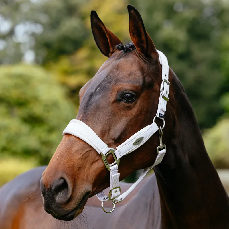 LeMieux Versailles Headcollar - Lilac-1