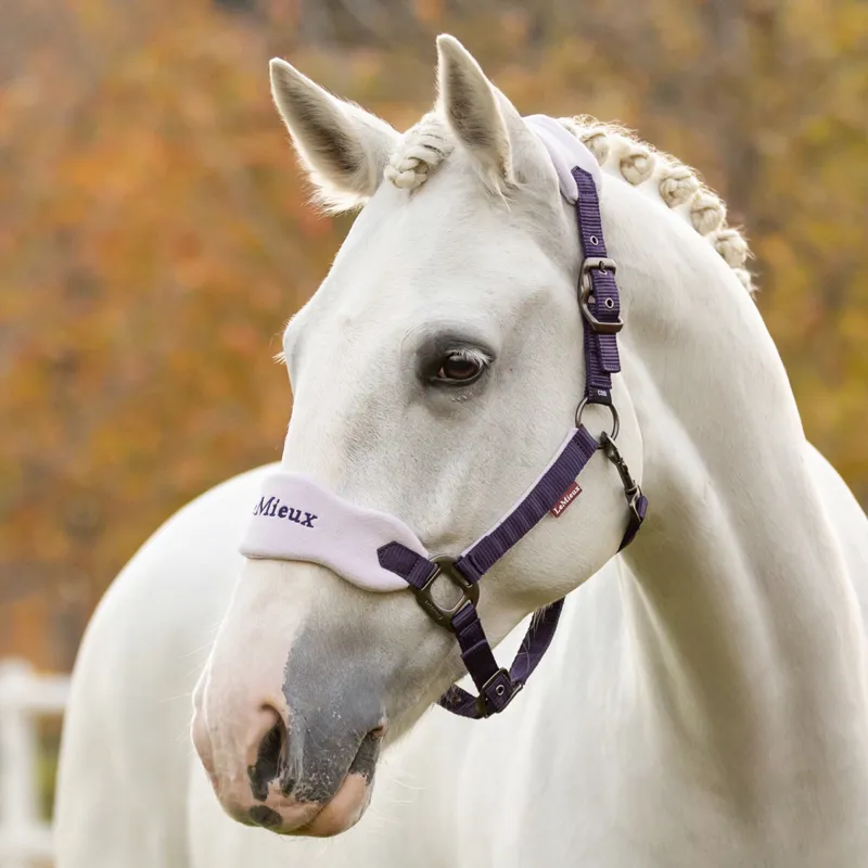 LeMieux Vogue Headcollar and Lead Rope Set - Juniper-1