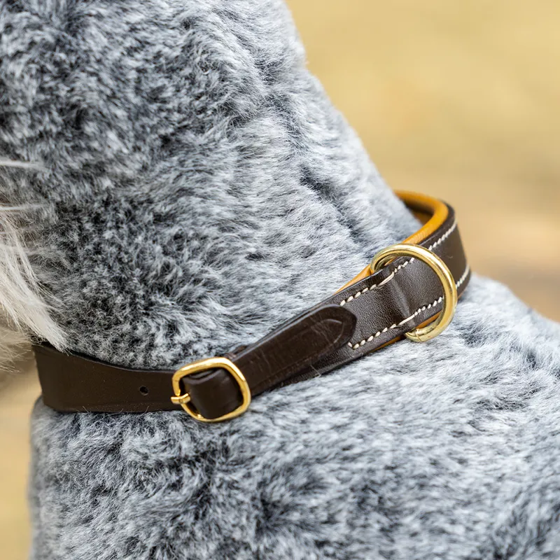 LeMieux Mini Puppy Toy Leather Collar and Lead Set - Ginger/Brown-2