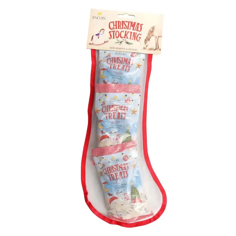 Lincoln Christmas Horse Treats Stocking