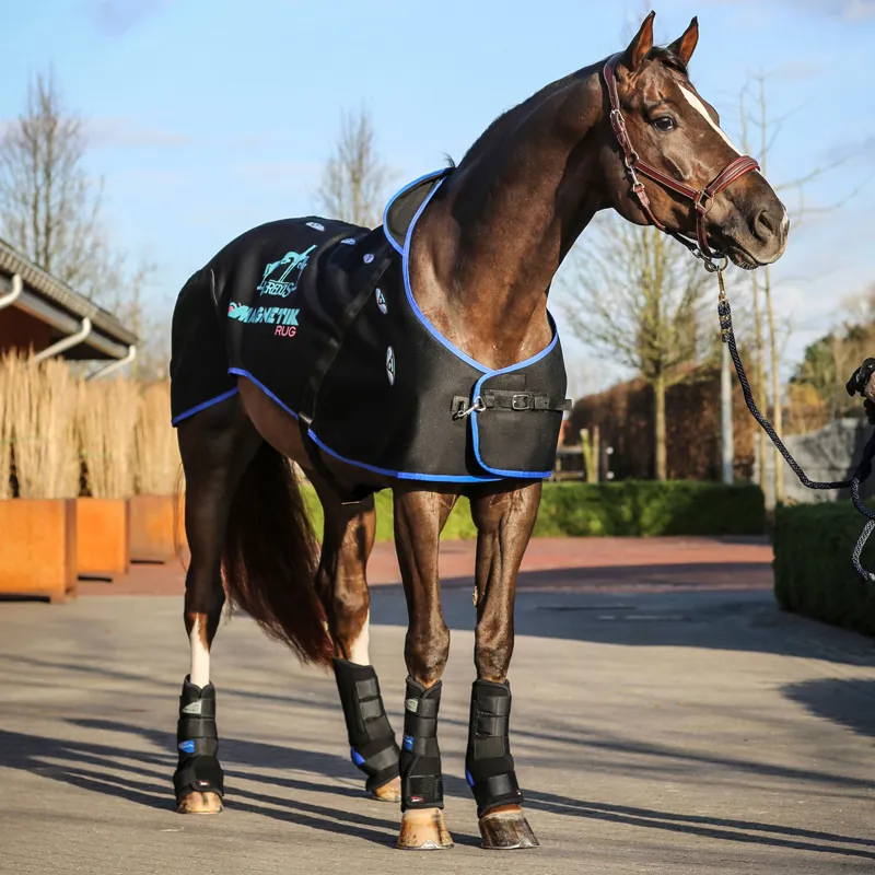 Veredus Magnetik Magneticotherapy Rug - Black/Blue-3