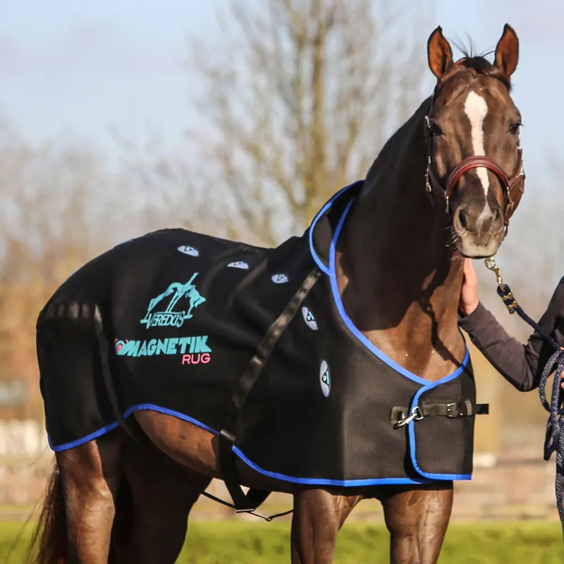 Veredus Magnetik Magneticotherapy Rug - Black/Blue