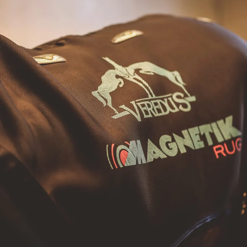 Veredus Magnetik Magneticotherapy Rug - Black/Blue-6