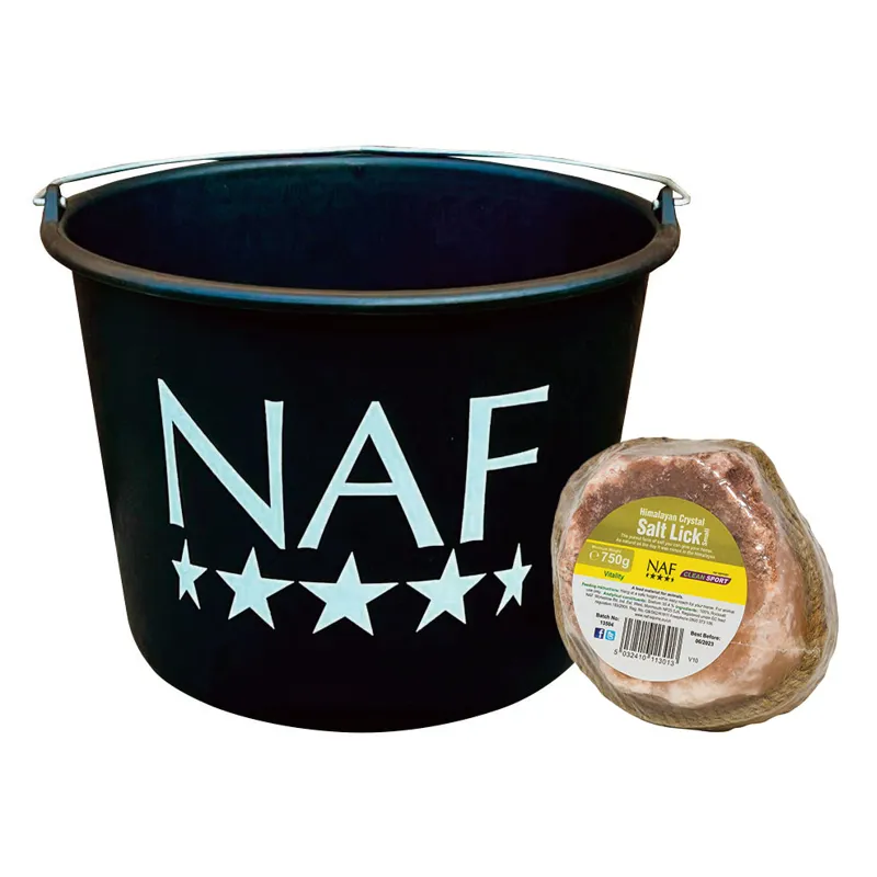 NAF Small Himalayan Salt Lick and Bucket