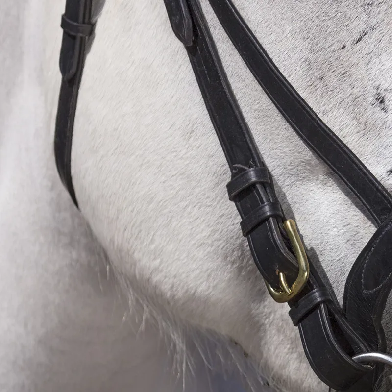 Norton Club Draught Horse Bridle - Black-2