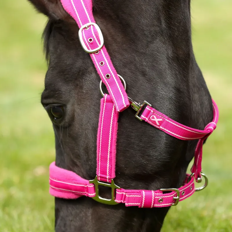Equilibrium Stellar Style Safety Headcollar - Pink-1