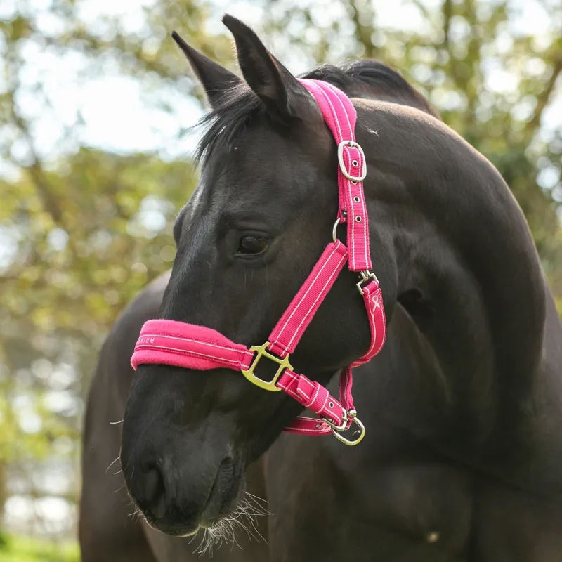 Equilibrium Stellar Style Safety Headcollar - Pink
