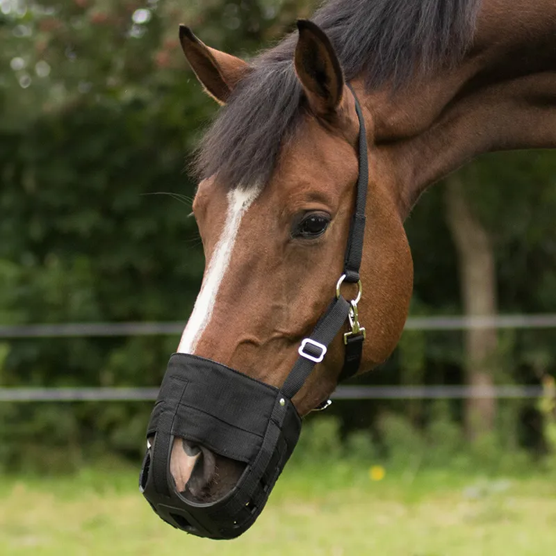 QHP Grazing Muzzle with Nostril Holes - Black