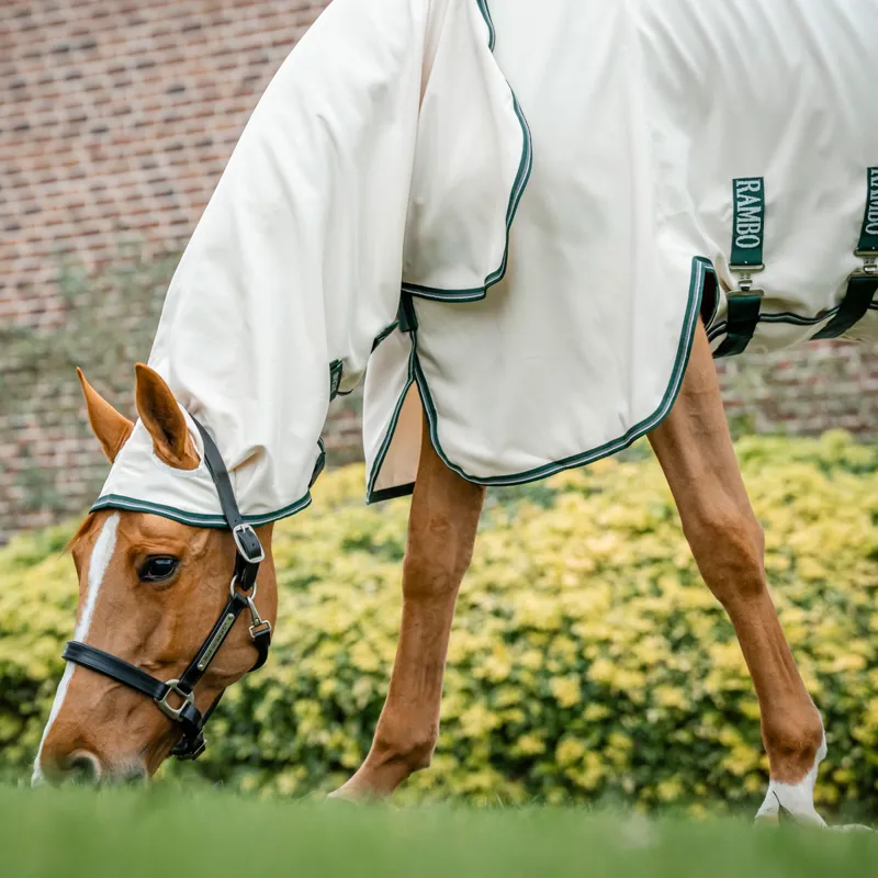 Rambo Hoody Sweet Itch Fly Rug - Chalk/Hunter Green/Silver-4