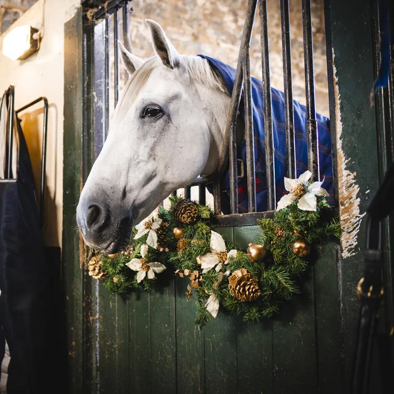 Rhino Holiday Pony Plus Vari-Layer 250g Turnout Rug - Navy Check/Green/Red-9