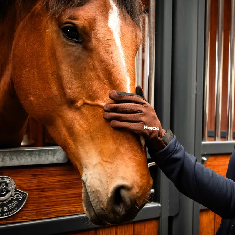 Roeckl Meura Adults Riding Gloves - Chocolate-3