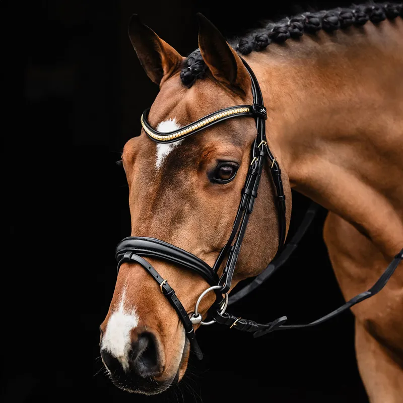 Schockemohle Monza C Removable Flash Bridle - Black/Gold-1