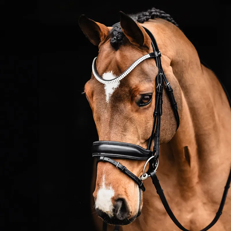 Schockemohle Valencia Flash Bridle - Black/Silver-3