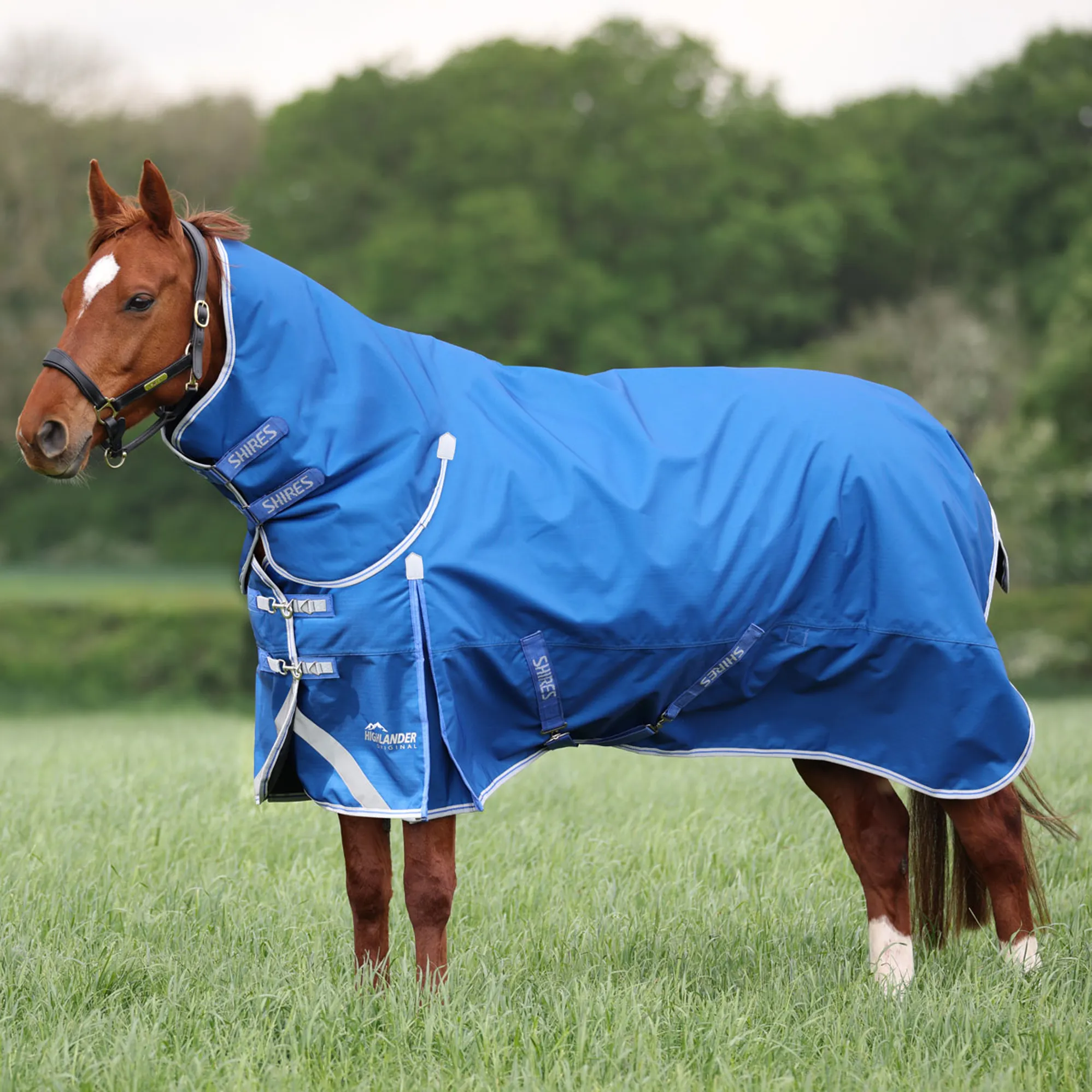600D Ripstop Horse Rug 600D Navy Medium Weight Waterproof Horse Turnout Rug With 200g Fill – All-Year Horse Blanket Medium Weight Waterproof Horse Rug 200g Fill 600D Ripstop Horse Rug 600D Navy Medium Weight Waterproof Horse Turnout Rug With 200g Fill – All-Year Horse Blanket Medium Weight Waterproof Horse Rug 200g Fill