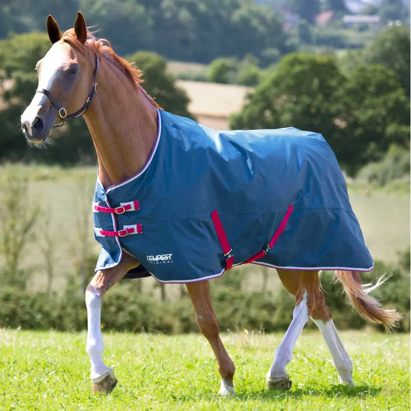 Shires Tempest Original Lite 0g Standard Neck Turnout Rug - Teal