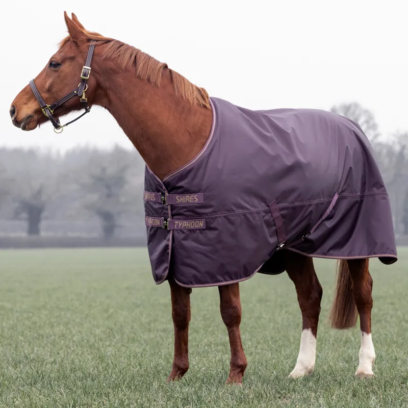 Shires Typhoon 100g Standard Neck Turnout Rug - Black Cherry
