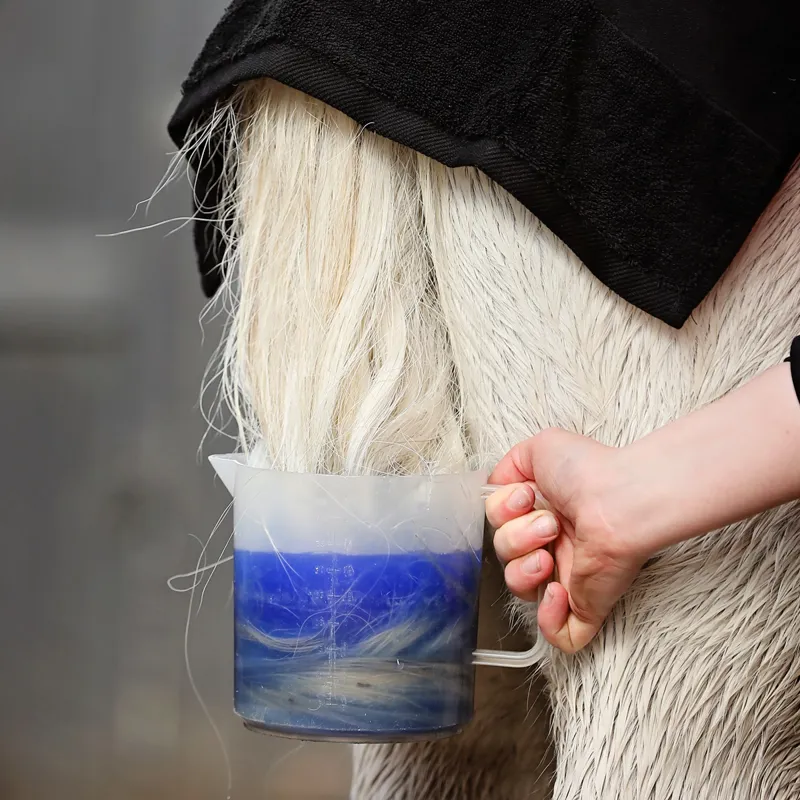 Smart Grooming Super Blue Whitening Rinse-4