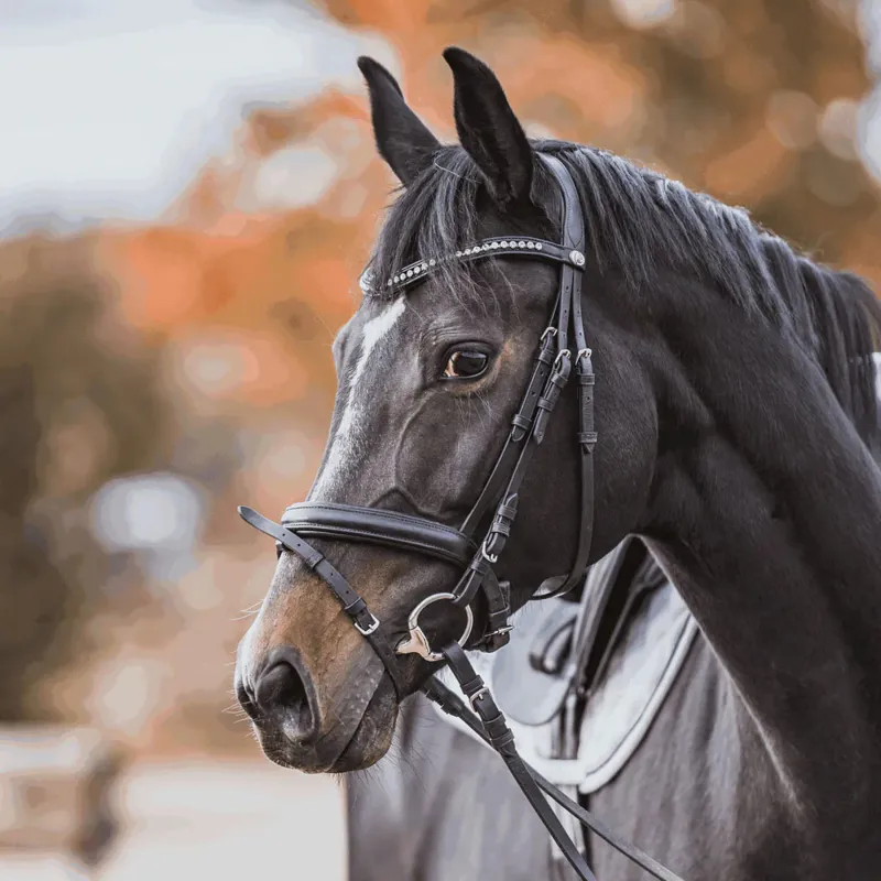 Sprenger KK ULTRA Eggbutt Bit - 16mm-1