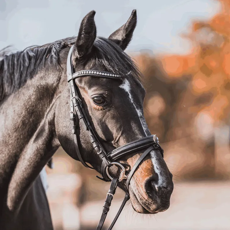 Sprenger KK ULTRA Eggbutt Bit - 16mm-2