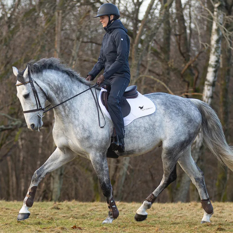 Stierna Storm Ladies Waterproof Rain Trousers - Midnight Navy-7