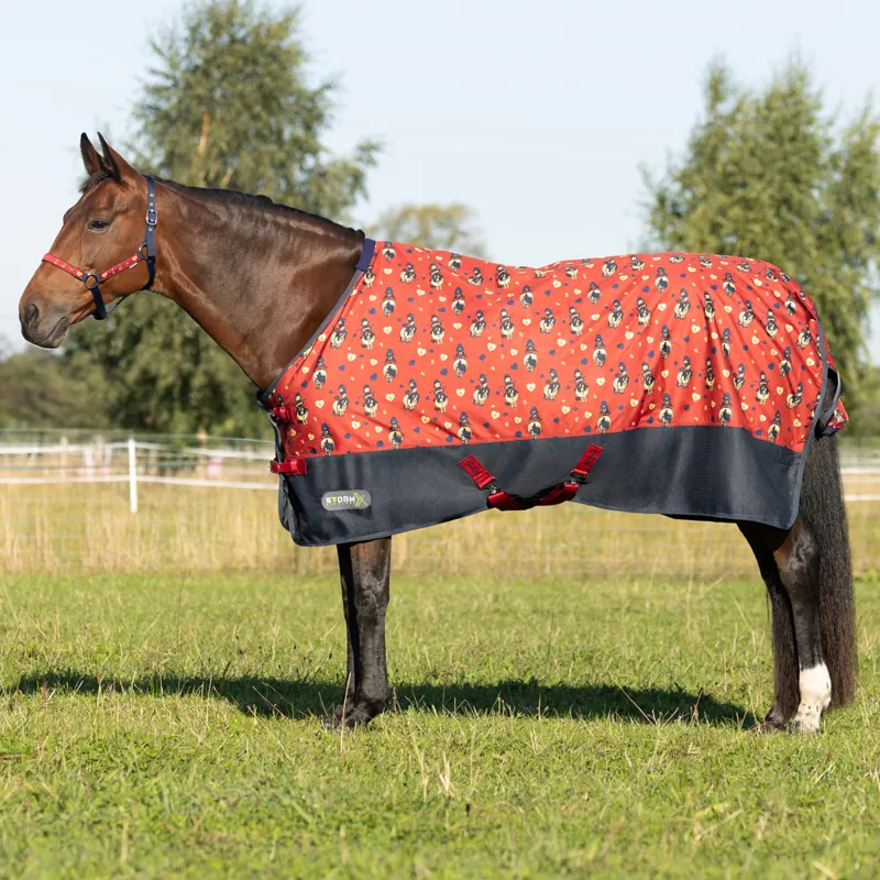 StormX Original 100g Turnout Rug - Thelwell Collection Balancing Act