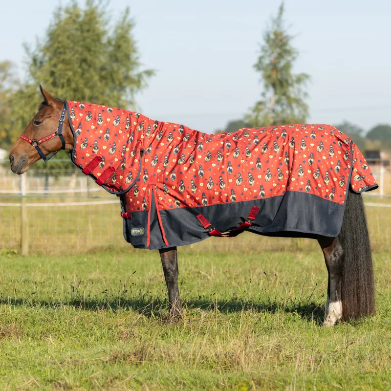 StormX Original 200g Combo Turnout Rug - Thelwell Balancing Act
