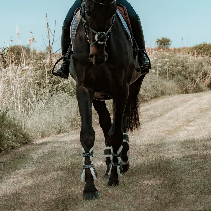 Stubben and Evolution Hybrid Fleece Tendon Boots - Black-2