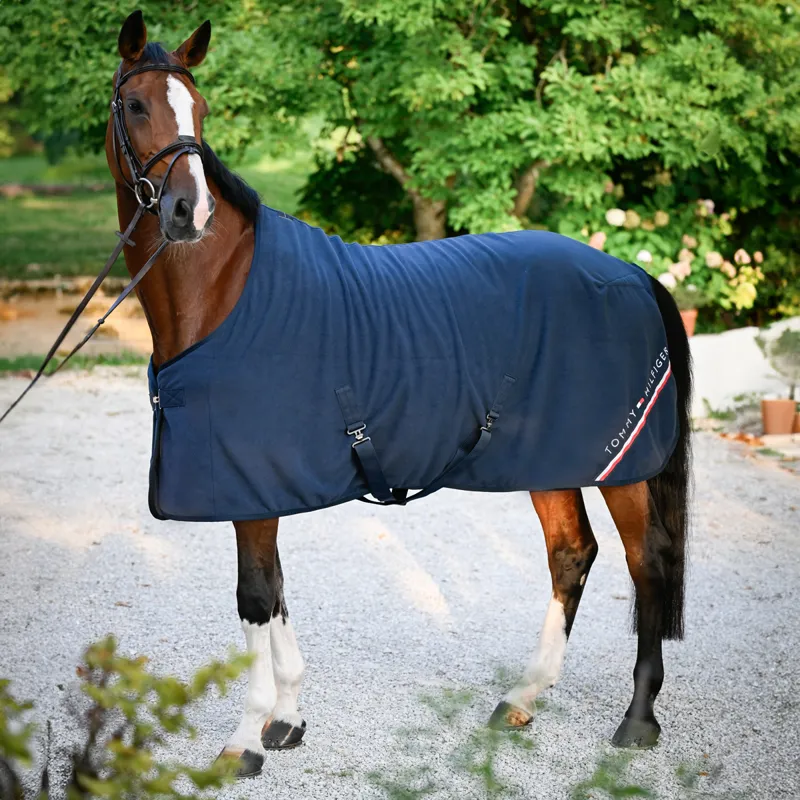 Tommy Hilfiger Stanford Fleece Rug - Desert Sky