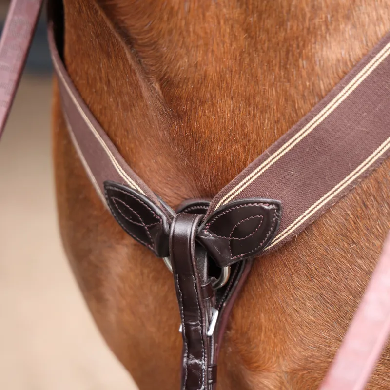 Velociti Lusso Three Point Elastic Breastplate - Havana-1