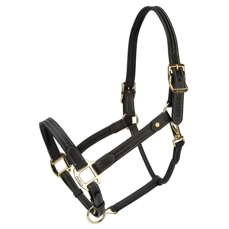 Velociti Lusso Girona Leather Headcollar - Black