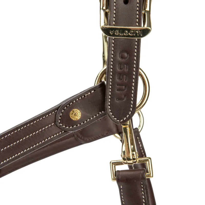 Velociti Lusso Girona Leather Headcollar - Havana-1