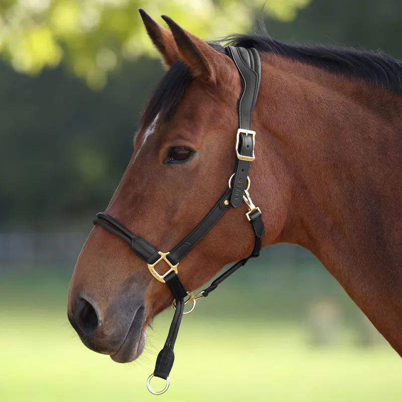 Velociti Lusso Soria Leather Headcollar - Black-3