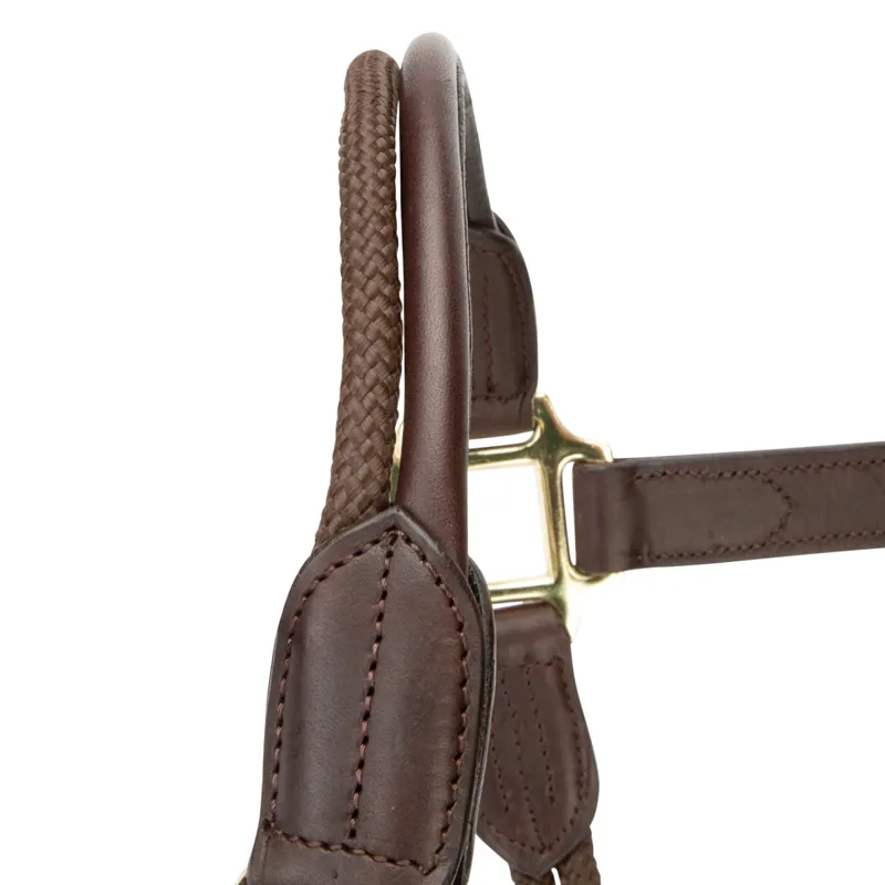 Velociti Lusso Soria Leather Headcollar - Havana-2