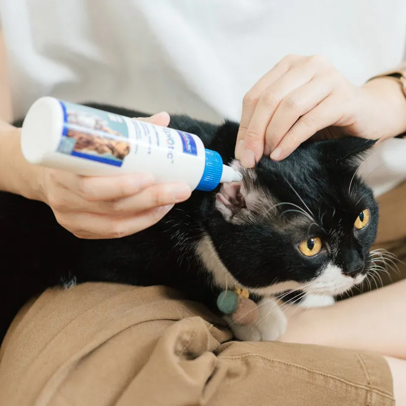 Virbac EpiOtic Ear Cleaner for Dogs and Cats-2