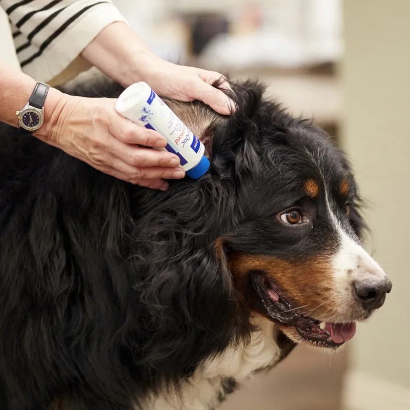 Virbac EpiOtic Ear Cleaner for Dogs and Cats-3