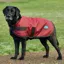WeatherBeeta ComFiTec Classic Waterproof Dog Coat - Burgundy