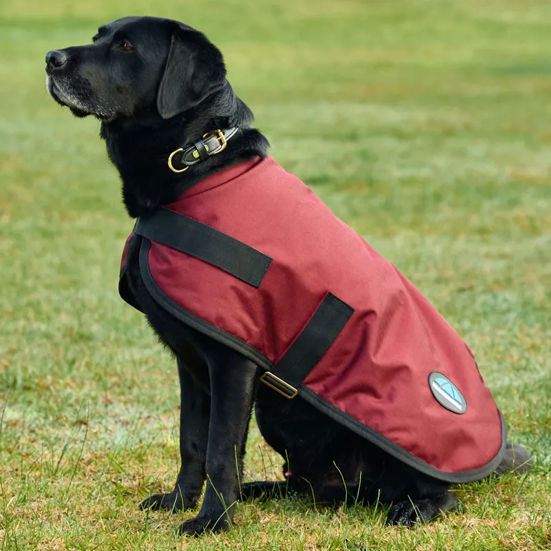WeatherBeeta ComFiTec Classic Waterproof Dog Coat - Burgundy-2