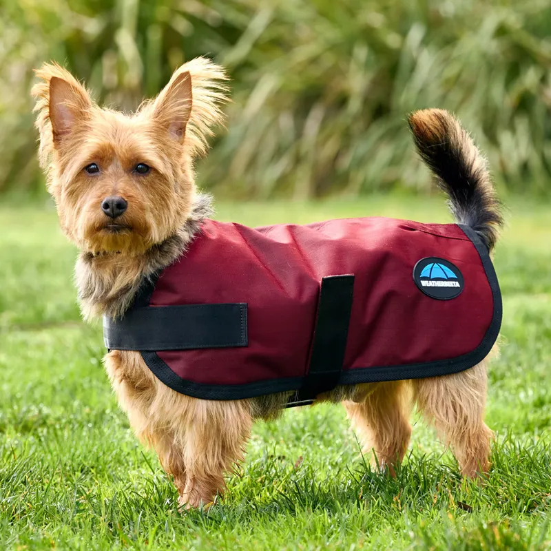 WeatherBeeta ComFiTec Classic Waterproof Dog Coat - Burgundy-1
