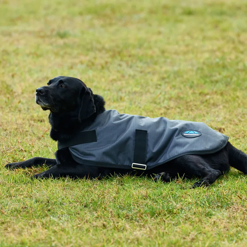 WeatherBeeta ComFiTec Classic Waterproof Dog Coat - Charcoal-2