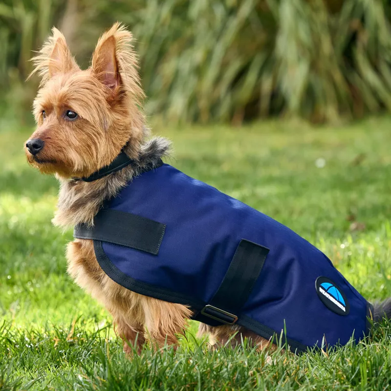 WeatherBeeta ComFiTec Classic Waterproof Dog Coat - Navy-2