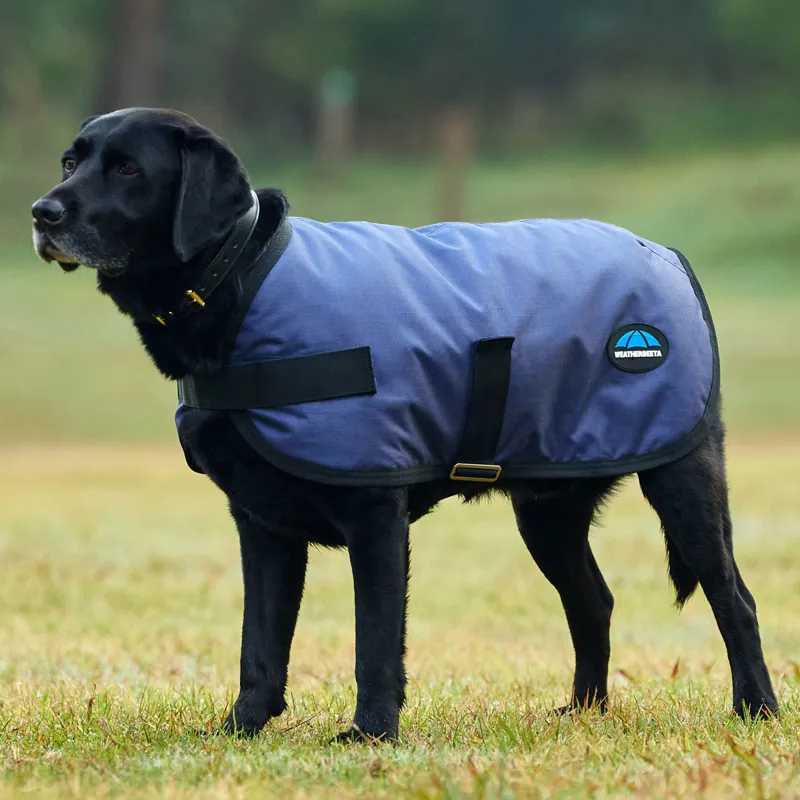 WeatherBeeta ComFiTec Classic Waterproof Dog Coat - Navy-1